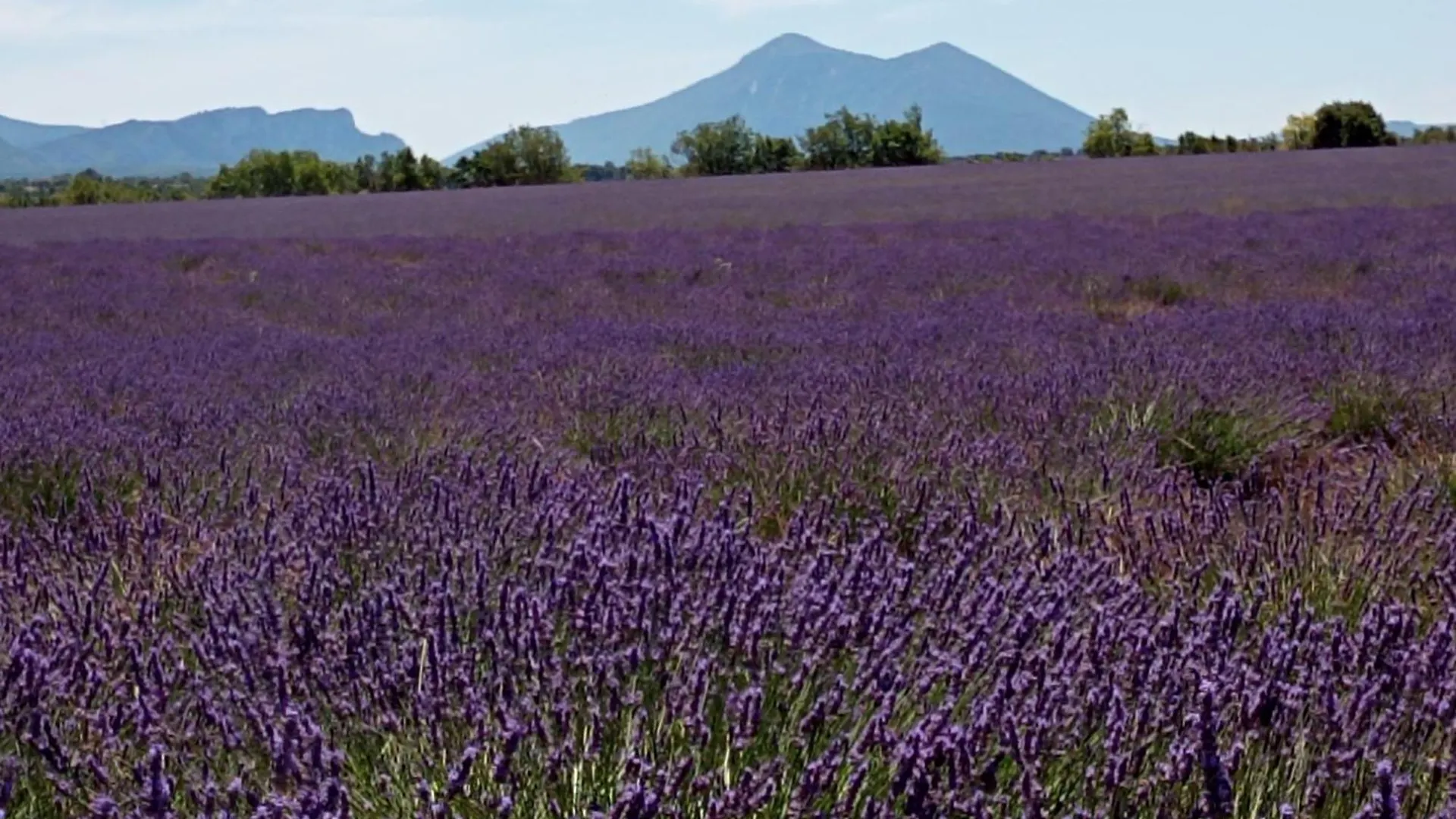 Studio Appart Verdon Allemagne-en-Provence